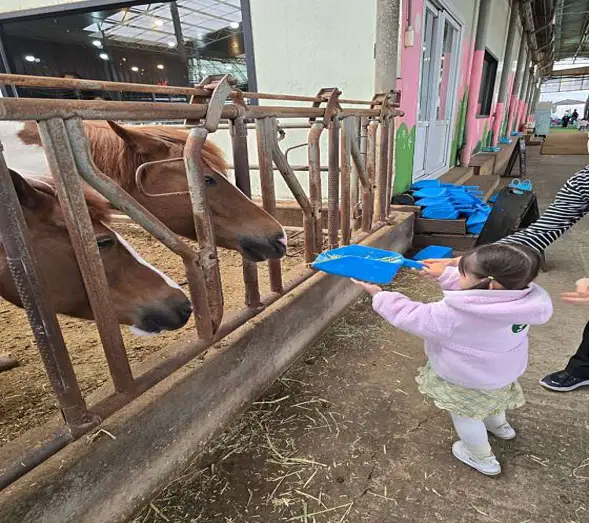 연보람목장