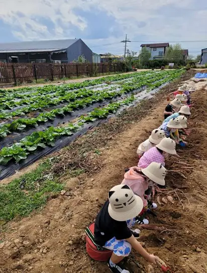 치유농장 뒤란