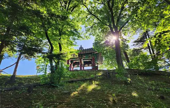 반구정