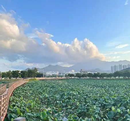 지산샛강생태공원