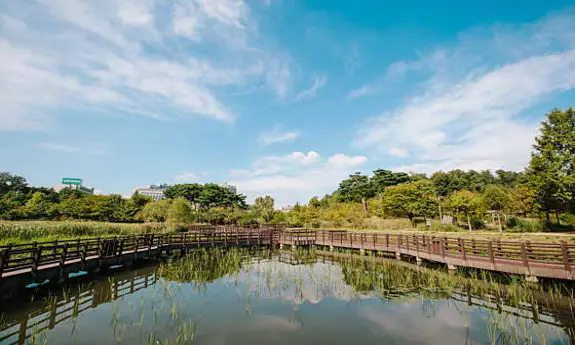 푸른수목원